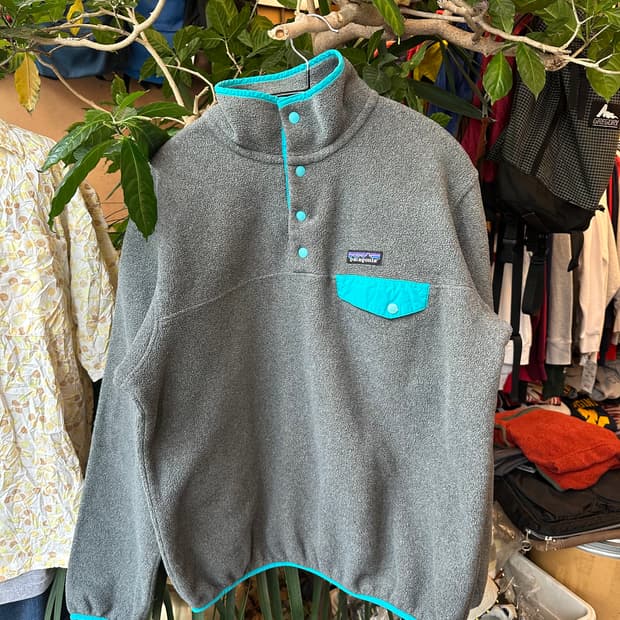 Z-381 파타고니아 신칠라 