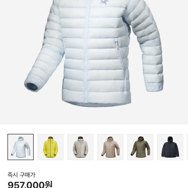 아크테릭스 세륨 후디 데이브레이크 L