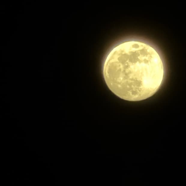 [구매] 포터리 더블 브레스티드 자켓 2size