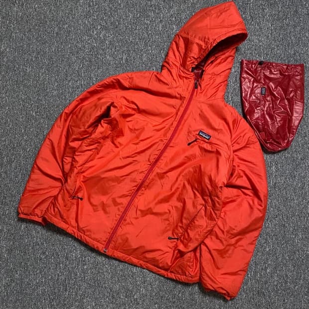 patagonia micro puff hoody