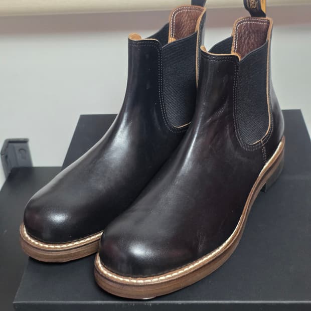 롤링덥트리오 스탠 호스하이드 8