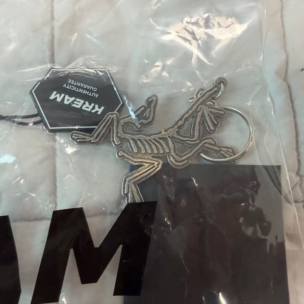 아크테릭스 키링