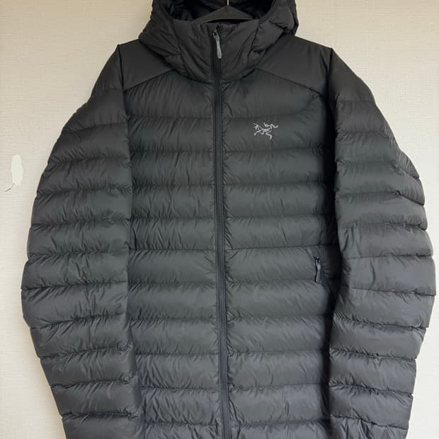 L 아크테릭스 세륨 후디 블랙 패딩 후드 점퍼