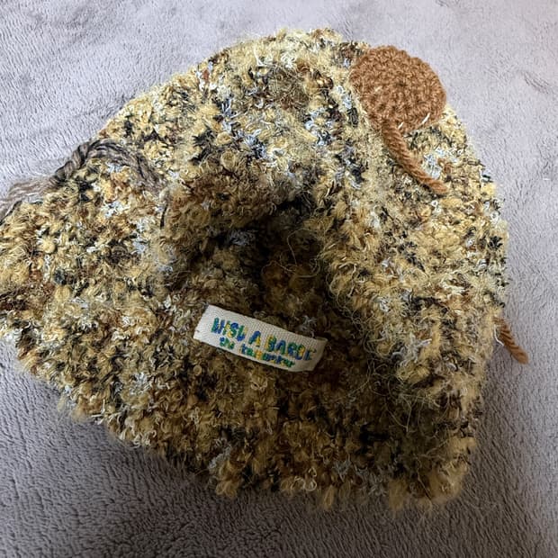 미수아 바흐브 비니