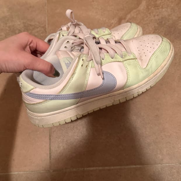 나이키 덩크 로우 245