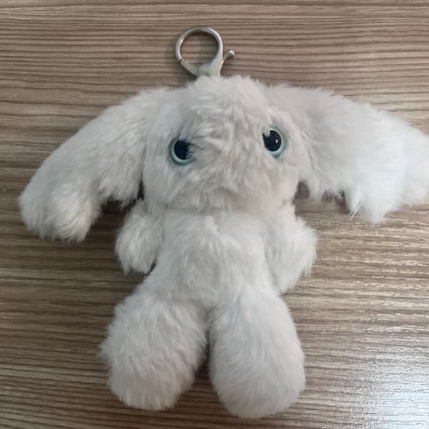 코이세이오 키링