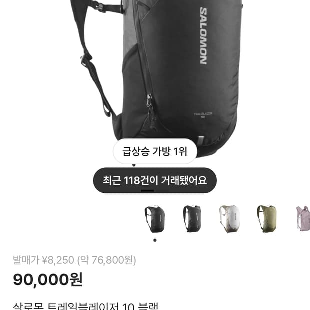 살로몬 트레일 블레이저 백팩 10