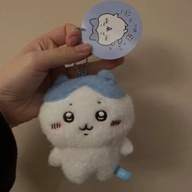 하치와레 인형 키링