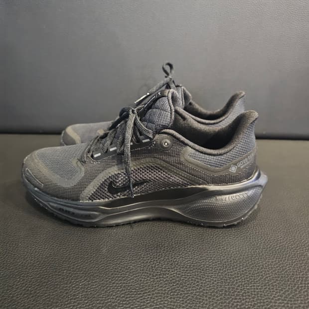 나이키 페가수스41고어텍스 블랙 런닝화