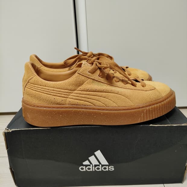 새상품 푸마 된장 255