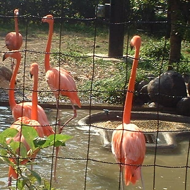 파인픽스 1500(mx1500)