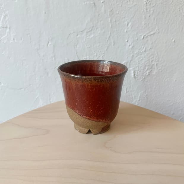 Vtg jpn cup