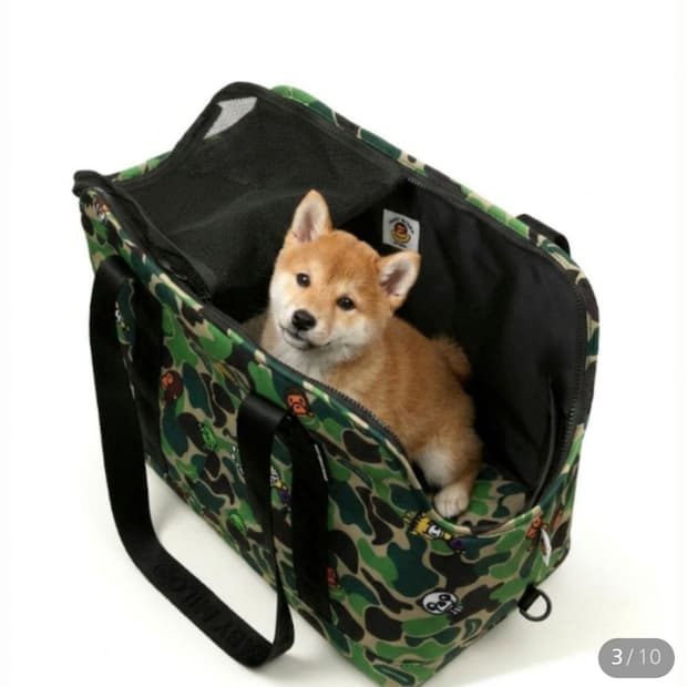 베이프 펫 캐리어 강아지 이동가방 베이프 abc 마일로