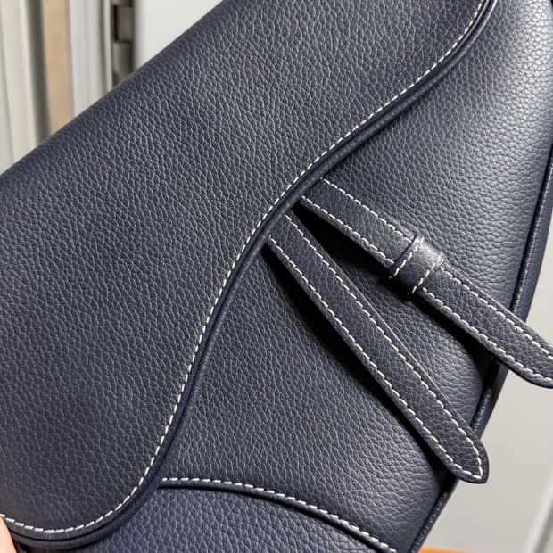 디올 새들백 킴존스컬렉션