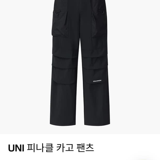 살로몬 나일론 카고 팬츠 입니다. M사이즈