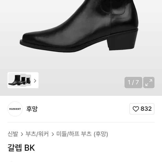 후망 갈렙bk 290