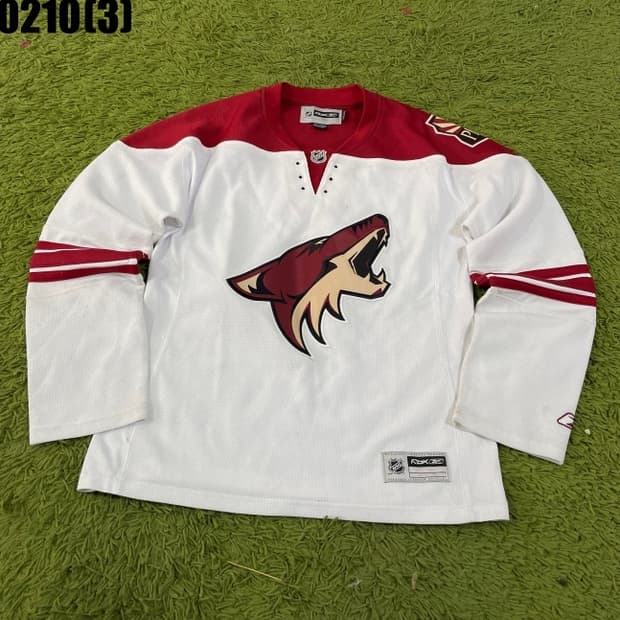 리복 NFL 애리조나 코요테스 하키 유니폼