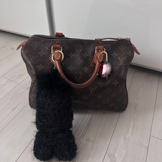 루이비통 스피티 30 정품