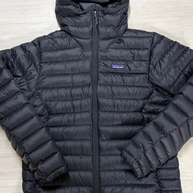 Patogonia Men's Down Sweater™ Hoody 