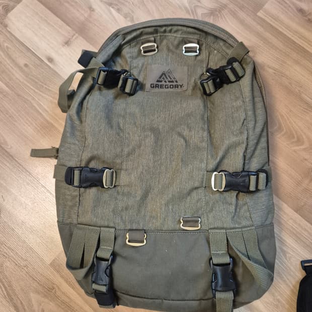 그레고리 데이앤하프 올리브