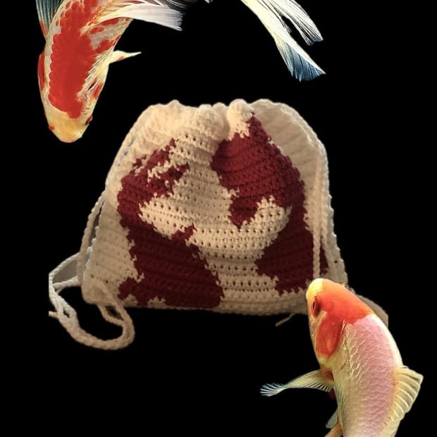 Koi Pouch 𓆟 _잉어 파우치