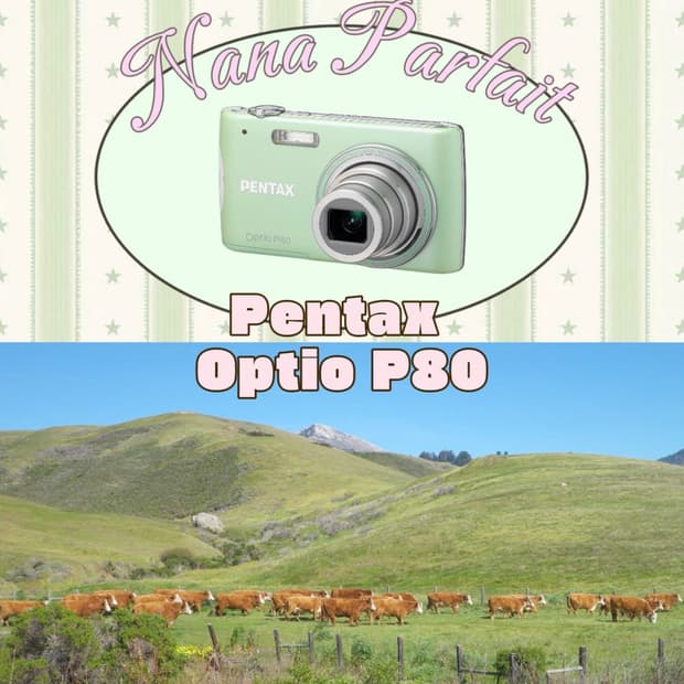 작례있음,풀박스🍀 펜탁스 옵티오 p80 / Pentax Optio