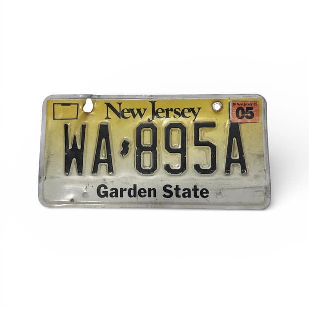 90s 미국 번호판