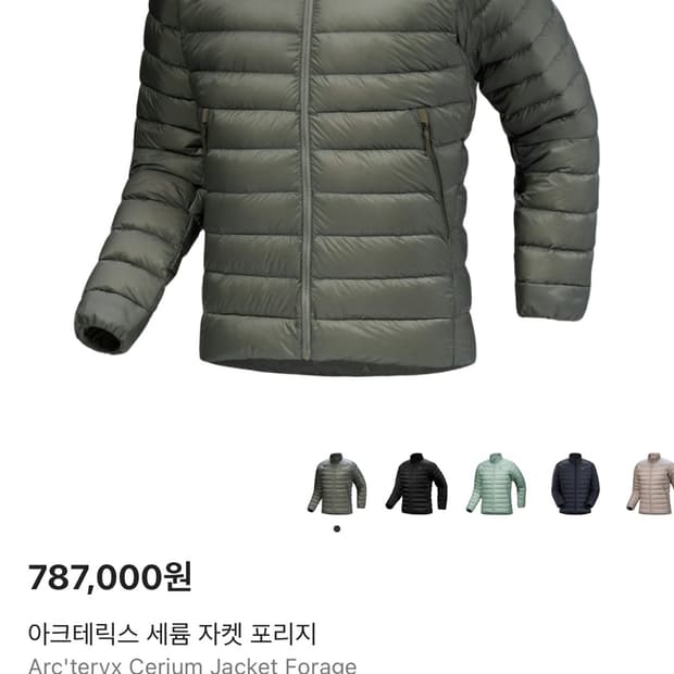 아크테릭스 세륨 자켓 포리지(XL)