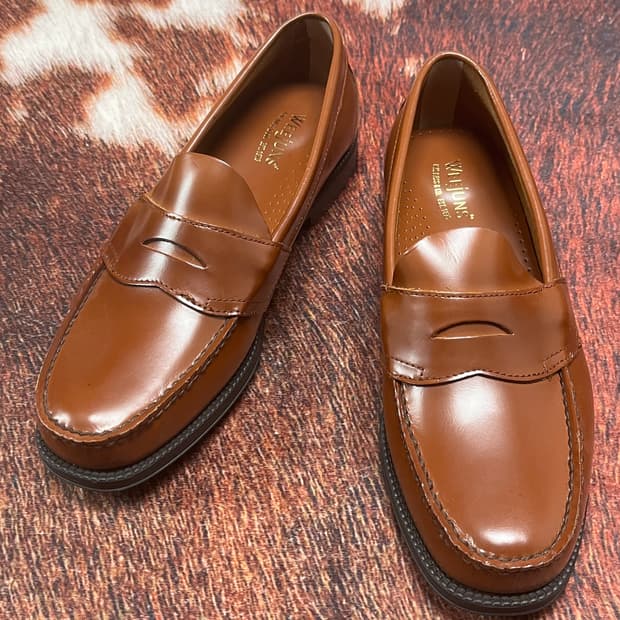 [41.5] 바스 위준 페니로퍼 브라운