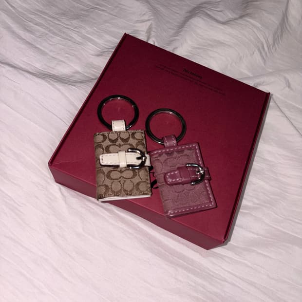 Coach frame keyring (cherry red)