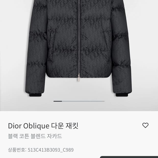 디올 오블리크 패딩