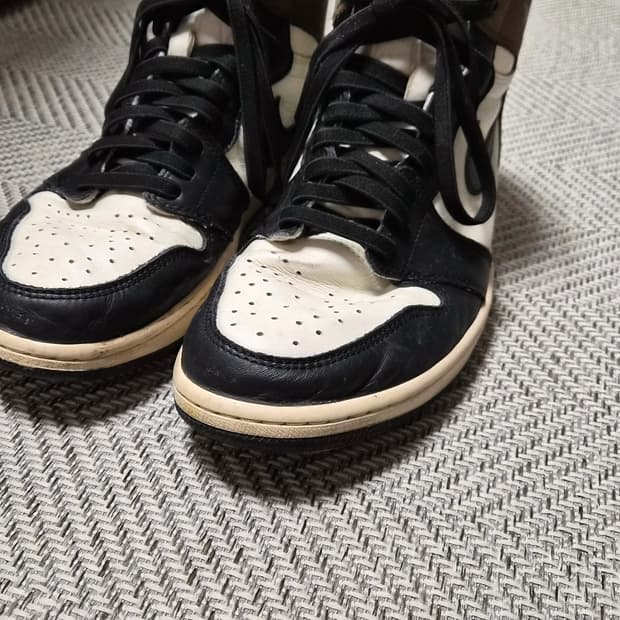 조던 다크모카 290