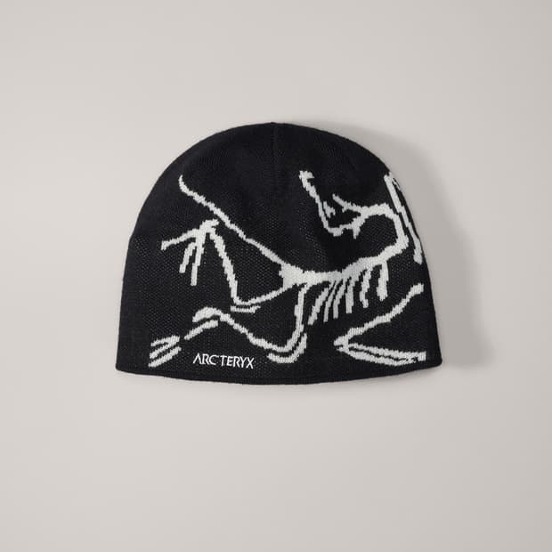 아크테릭스 버드 헤드 토크