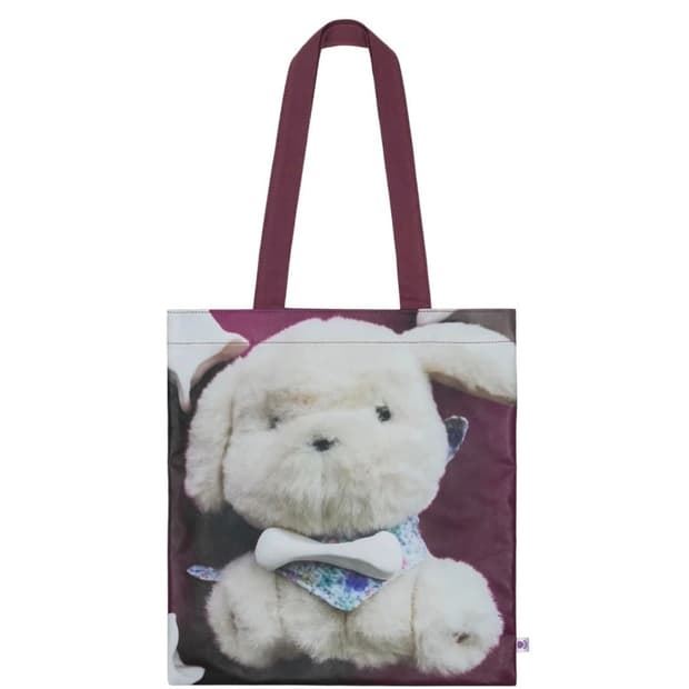 코이세이오 오후백