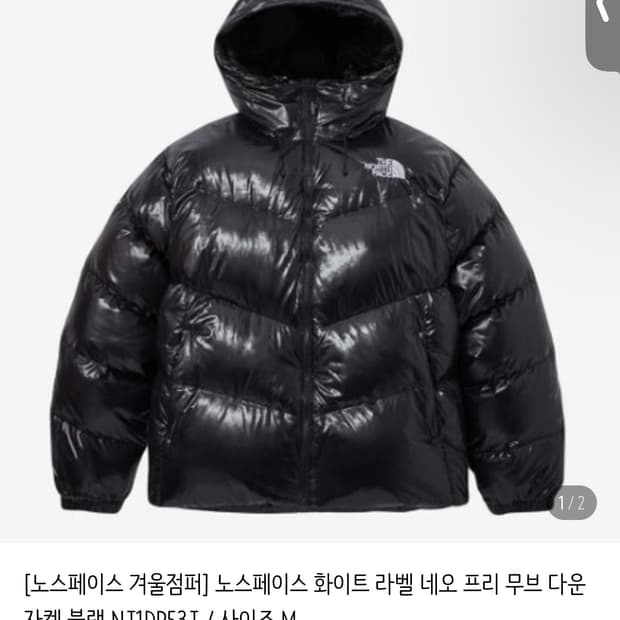 노스페이스 패딩