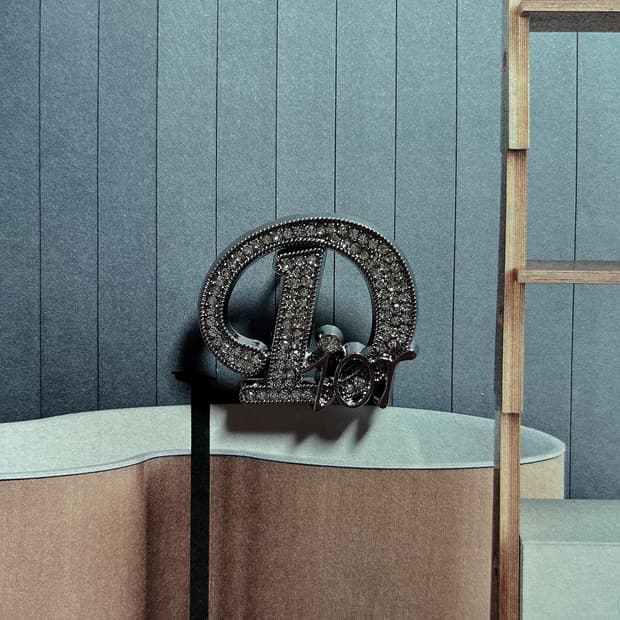 디올 오블리크 크리스탈 브로치