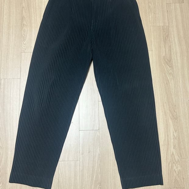 이세이 미야키 옴므 플리세 팬츠