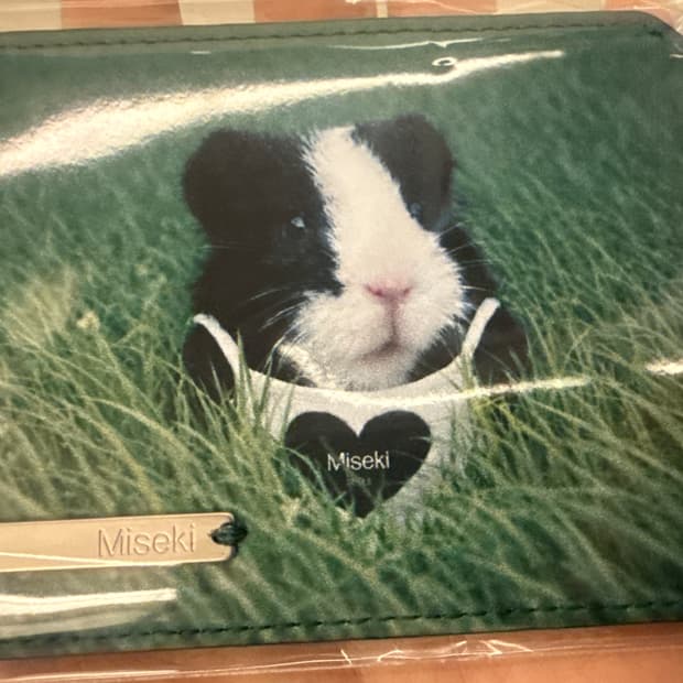 미세키서울 팝업 특전 기니 카드지갑