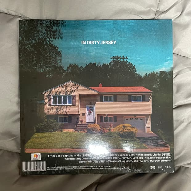 검정치마lp 틴트러블스