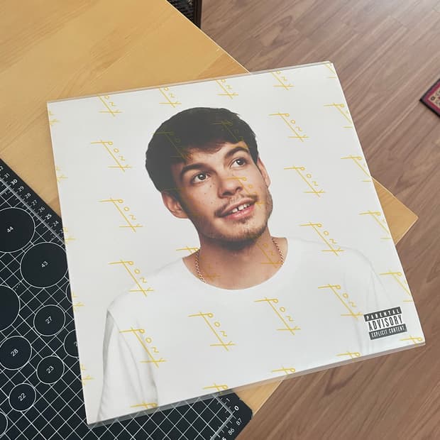 렉스 오렌지 카운티 Rex Orange County Pony LP