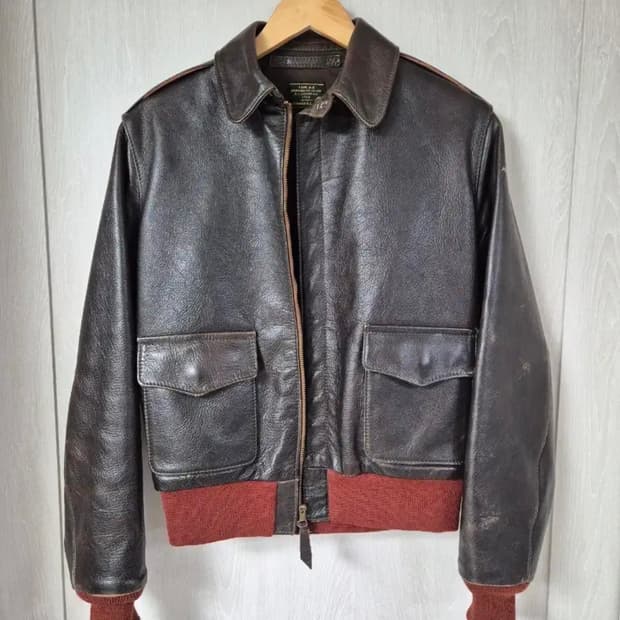 에어로레더 a2. 1756 비첸자 홀스하이드