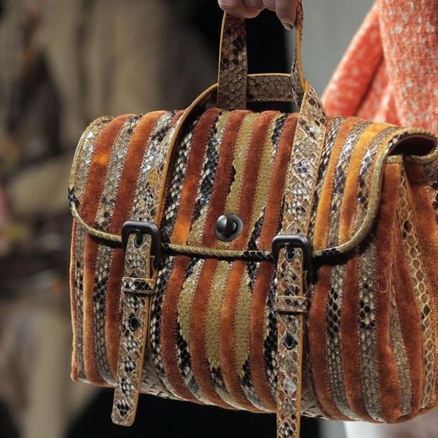 보테가베네타 벨벳 에어스 스네이크스킨 사첼백