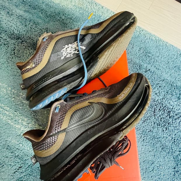 나이키 페가수스 프리미엄 인터네셔널 260