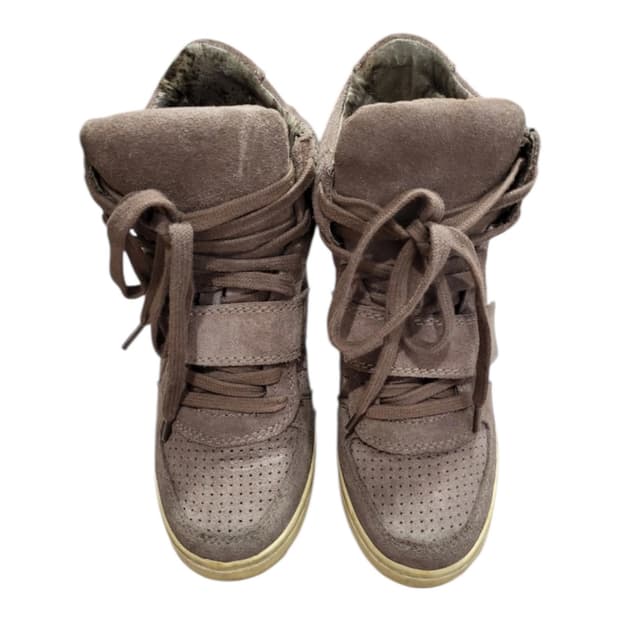 Ash 하이탑 스니커즈 36