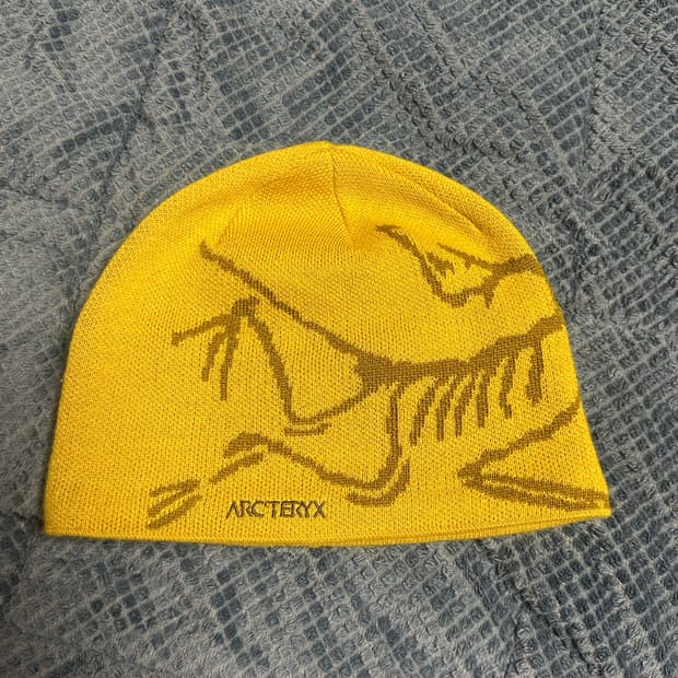 아크테릭스 비니 