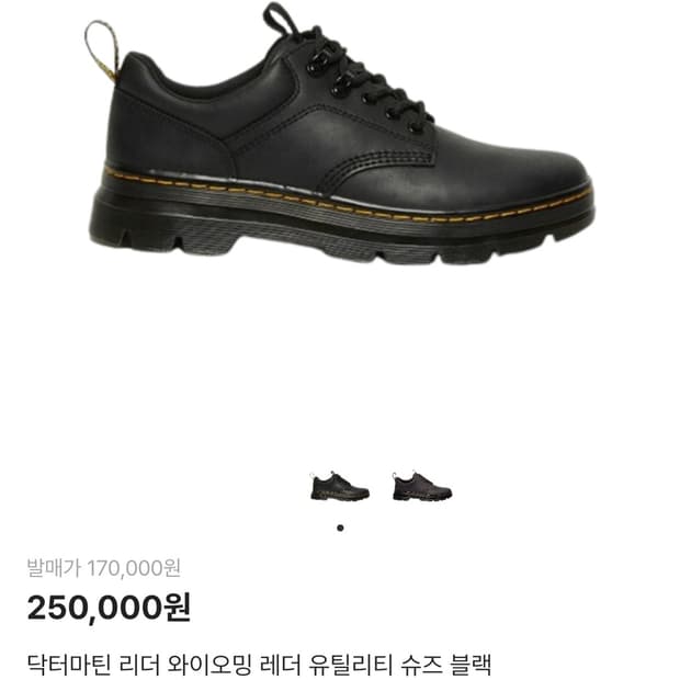 [260] 닥터마틴 리더