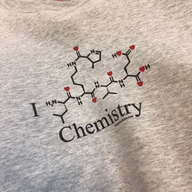 헤인즈 스웻셔츠 I LOVE CHEMISTRY