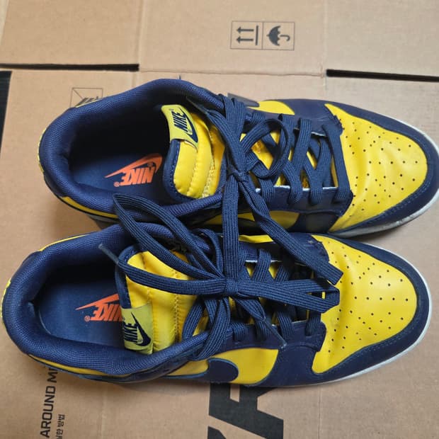 나이키 덩크로우 레트로 바시티 메이즈