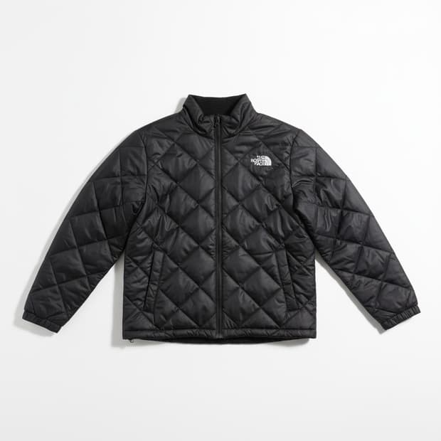 노스페이스 퀼팅 경량 패딩 자켓