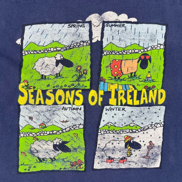 빈티지 Seasons of Ireland 그래픽 반팔티
